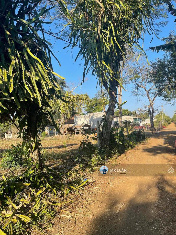 Tôi chính chủ cần bán lô đất km44 . dt 7 x 40 tc  60m2, cách ql14 , 500m , giá 330tr