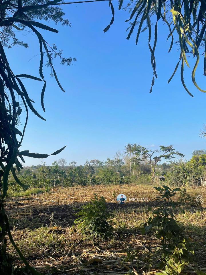 Tôi chính chủ cần bán lô đất km44 . dt 7 x 40 tc  60m2, cách ql14 , 500m , giá 330tr