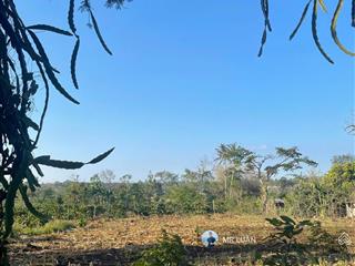 Tôi chính chủ cần bán lô đất km44 . dt 7 x 40 tc  60m2, cách ql14 , 500m , giá 330tr