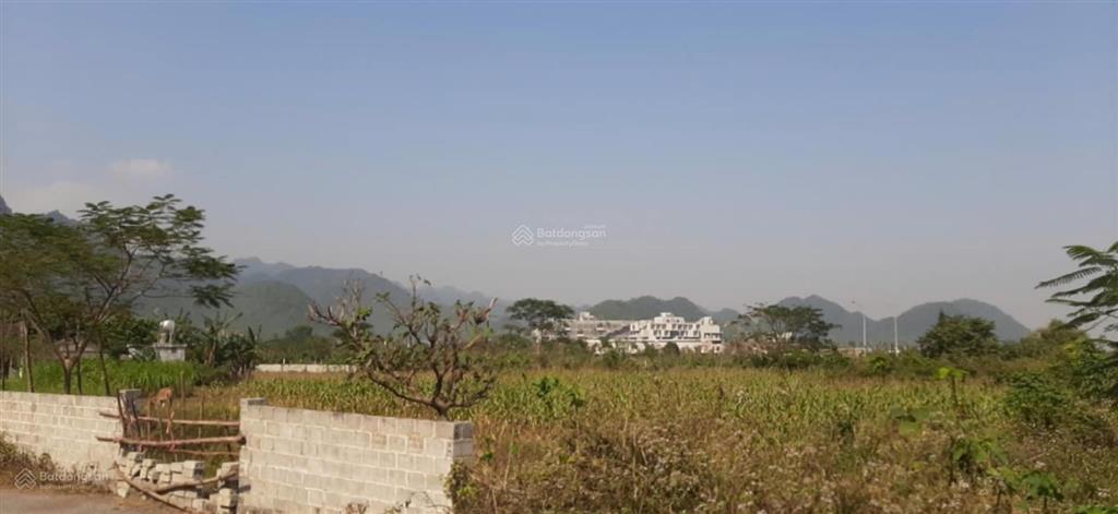Cúc phương. đường vào hồ thường sung ( gần ngã ba cúc phương  kỳ phú )