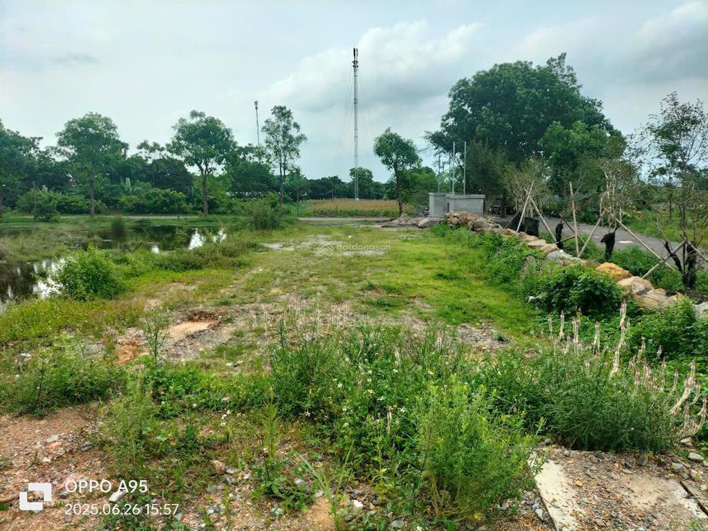 Cúc phương. đường vào hồ thường sung ( gần ngã ba cúc phương  kỳ phú )