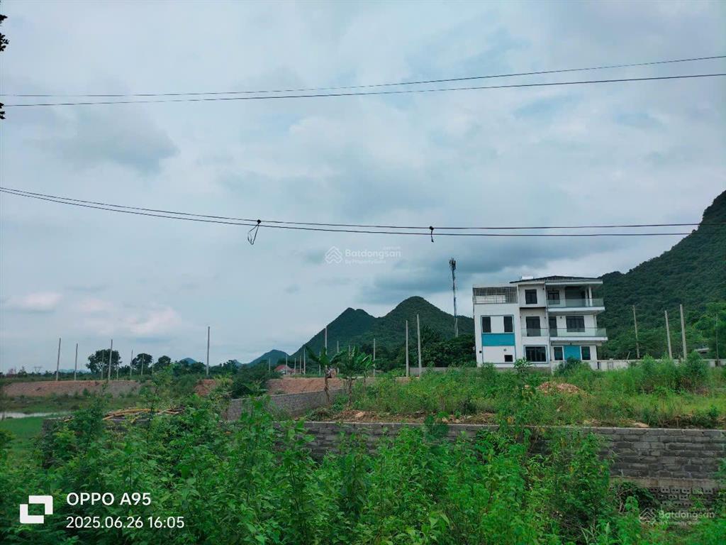 Cúc phương. đường vào hồ thường sung ( gần ngã ba cúc phương  kỳ phú )