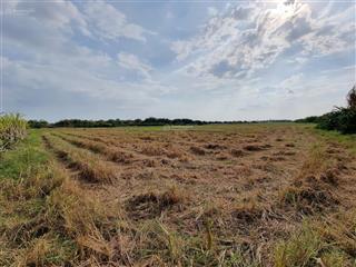 Bán đất nông nghiệp xã phú đông