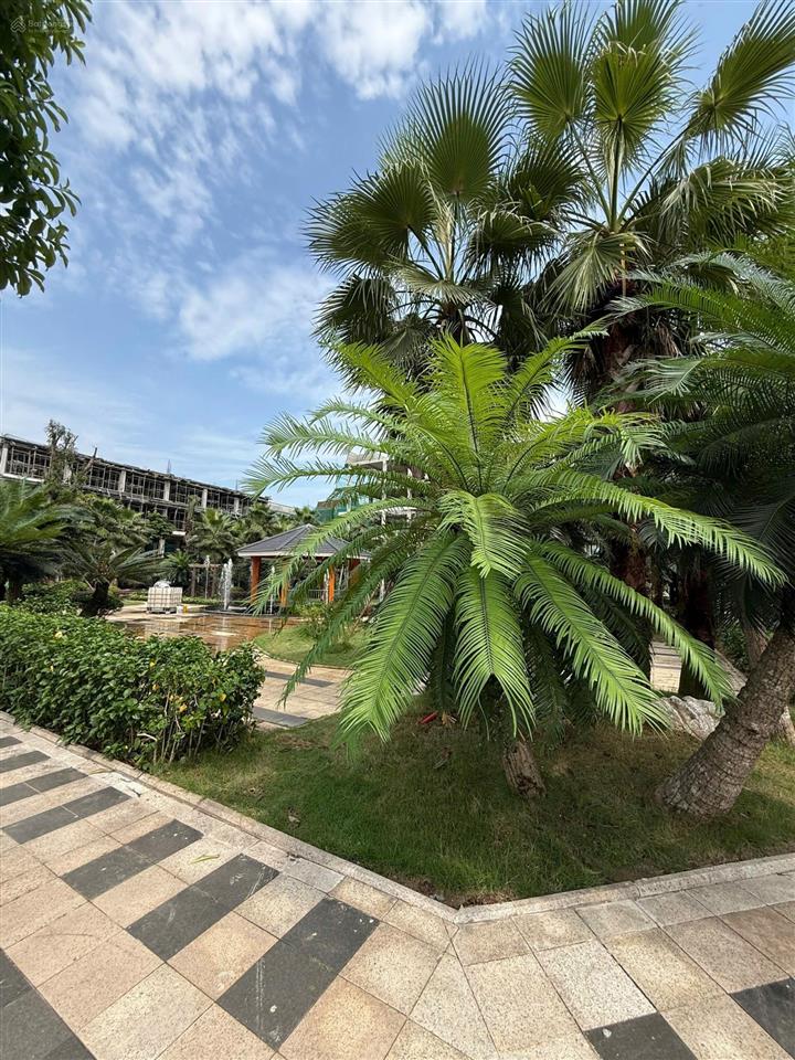 Mở bán siêu phẩm shophouse góc tại green little town cổ bi, gia lâm