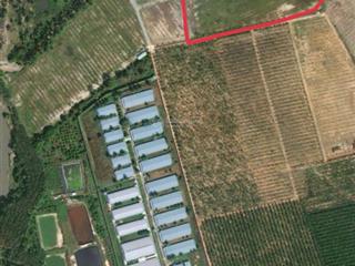 Đất 43600m2 long nguyên, bàu bàng, bd gần khu dân cư