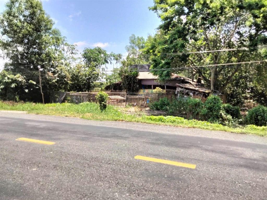 Chính chủ bán đất mặt tiền tỉnh lộ 818 bình hoà nam  diện tích 13.053m2   0977 570 ***