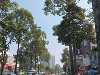 Bán mt đường số 2 cư xá lữ gia (dt 7x16m, cn110m2, 3 tầng) p.15 quận 11  giá 28,5 tỷ