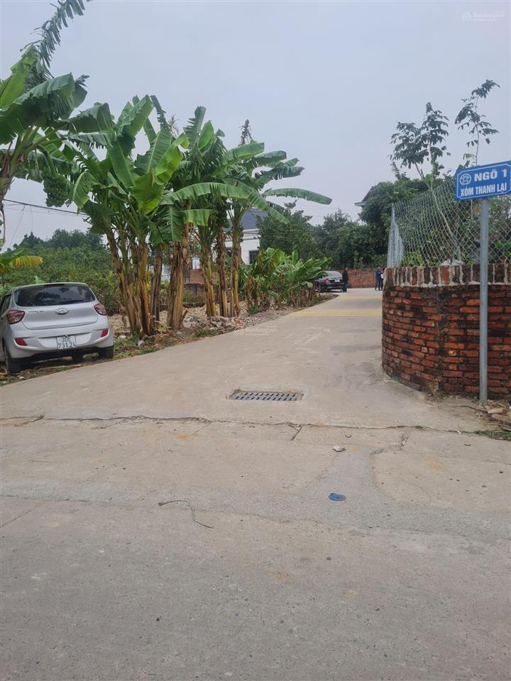 Cc bán lô góc 80m2 mt5.25m full thổ cư tại thanh lại phù linh. ra trường đua ngựa 1km