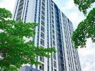 Cho thuê căn hộ 2pn, 1wc, 55m2 giá siêu hời tại hoàng quốc việt, phú mỹ, q7, tp.hcm