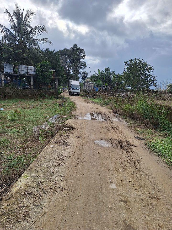 Đất trồng cây rẻ đẹp Túy Loan Tây 490 triệu/487m2