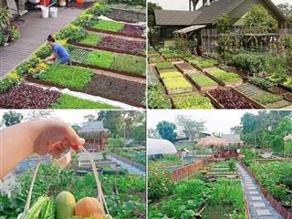 Đất trồng cây 2 mặt tiền đường lớn rẻ đẹp 520 triệu/422m2