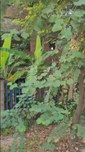 Bán nhà biệt thự đã xây thô đường bảo việt, kđt quang minh, mê linh