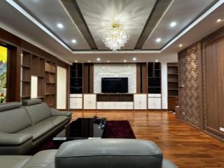 Cho thuê căn hộ 3pn, 170m2, giá 24tr/ tháng. view lotte. 59 xuân diệu