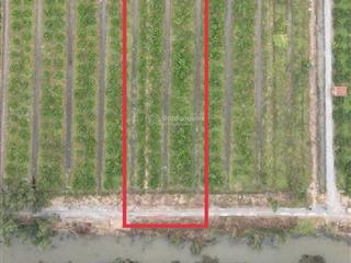 Chính chủ bán đất tân thành thủ thừa giá tốt