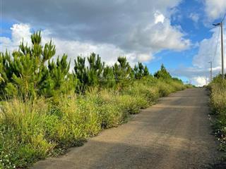 Bán đất lộc tân phường 2 bảo lộc giá tốt