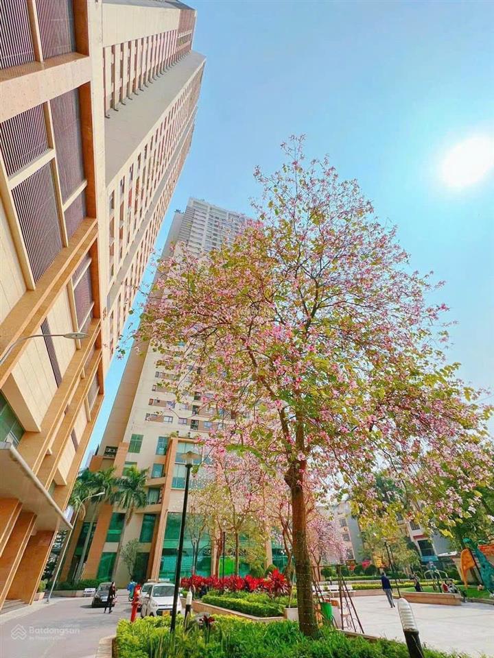 Bán căn hộ chung cư the pride, diện tích 90m2, gồm 3pn, 2vs, tầng trung, giá 5.1 tỷ