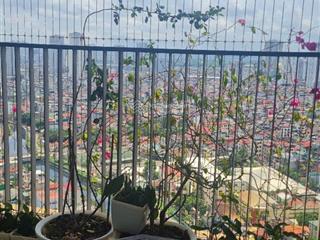 Căn hộ 2pn the pride, tố hữu, la khê, hà đông, hà nội, giá cực chất 5,8 tỷ, 81m2