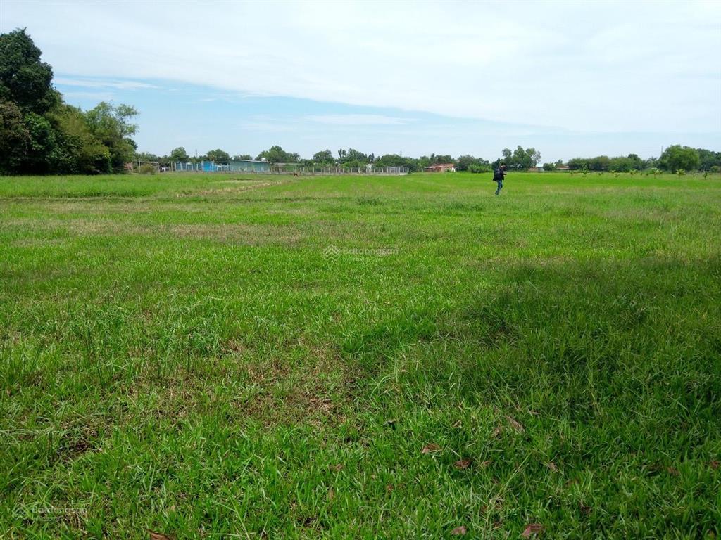 Bán gấp đất đường võ văn điều, xã phước thạnh  h củ chi tp hcm