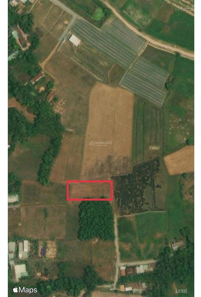 Bán gấp đất đường võ văn điều, xã phước thạnh  h củ chi tp hcm