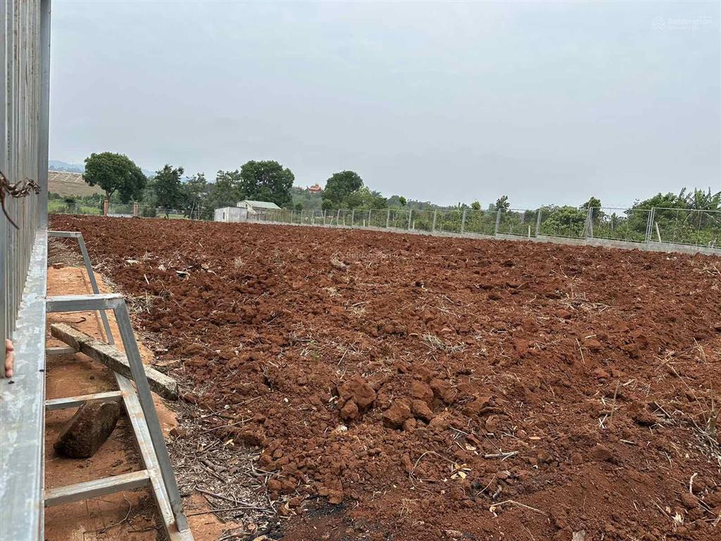 Bán đất buôn mê thuột 4000m2 sổ đỏ chính chủ