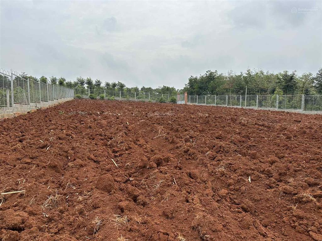 Bán đất buôn mê thuột 4000m2 sổ đỏ chính chủ