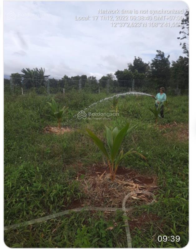 Bán đất buôn mê thuột 4000m2 sổ đỏ chính chủ