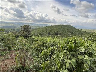 Chính chủ cần bán lô đất ở lâm đồng