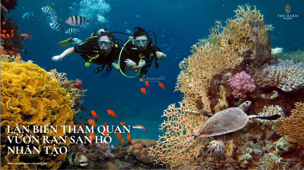 The maris còn xót 2 căn thông nhau tháp alaric cuối năm nhận nhà, full nội thất, giá 3.4 tỷ/căn