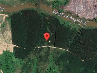 Chính chủ cần bán đất nông nghiệp trồng keo sẵn trên đất