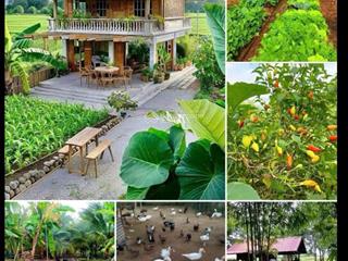 Bán lô đất 3000m đất tại ấp 5 bình mỹ củ chi  0968 111 ***