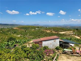 Cần bán đất ninh gia, đức trọng, lâm đồng  0968 111 ***