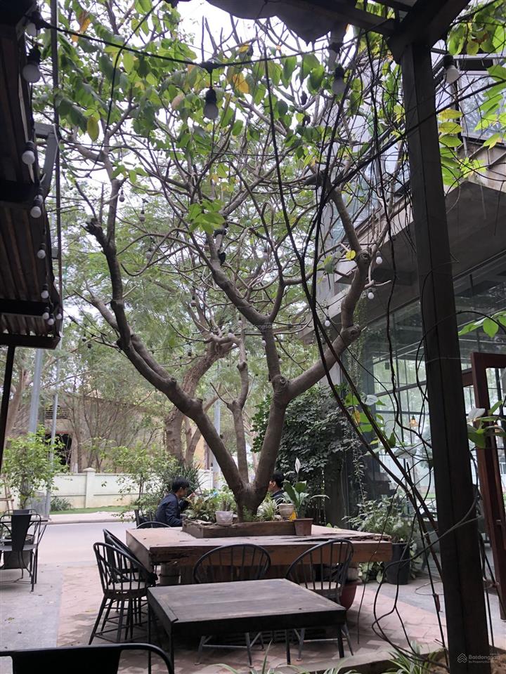 Bán nhà mặt phố đối diện times 2 mặt tiền 12m và 8m diện tích 245m2 xây toà nhà văn phòng, căn hộ