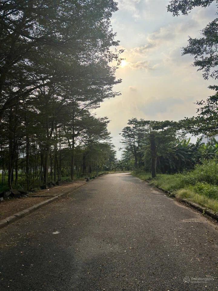 Cần bán nhanh 240m đất nền trục chính đường d3 liên phường vô tầm 300m giá tốt