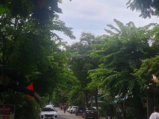 Anh chị đang tìm nhà đất đường hoài thanh, đừng bỏ lỡ em trưởng thổ địa nhé