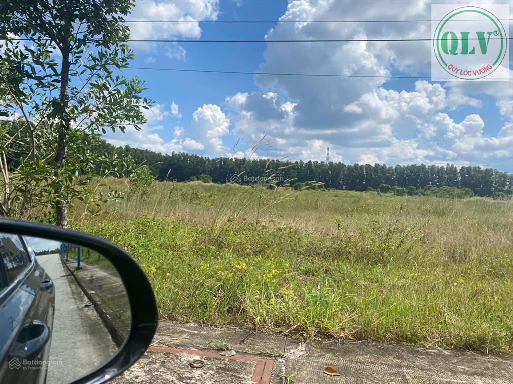 Bán đất khu công nghiệp  kcn bàu bàng, bình dương  52.071m²