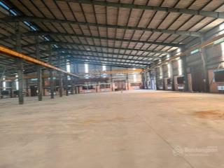 Cho thuê xưởng kcn đức hòa long an dt 20.000m2 đến 40.000m2