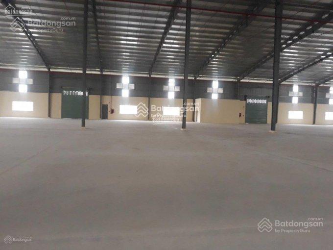 Cho thuê xưởng mtđ tỉnh lộ 62 thạnh hóa tỉnh long an. dt 2.000m2