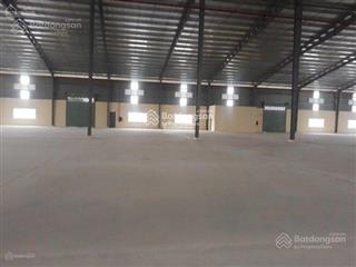 Cho thuê xưởng mtđ tỉnh lộ 62 thạnh hóa tỉnh long an. dt 2.000m2  5.000m2 20.000m2
