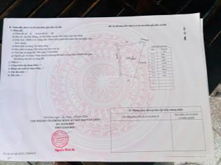 Cần bán đất đẹp giá tốt xã hội thắng, tân hiệp, tân châu, tây ninh