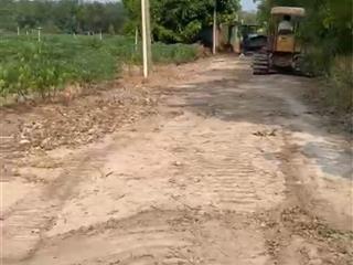 Bán đất tại xã tân hiệp, tân châu, tây ninh, 4,3 tỷ, 37000 m2