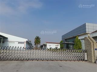 Kho xưởng cho thuê phan huy ích , quận gò vấp , dt 2,500m2