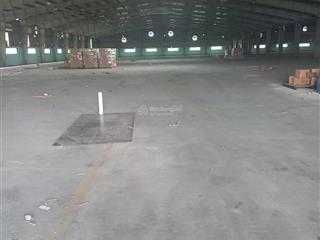 Kho xưởng cho thuê mỹ hạnh , đức hoà , long an , dt 8,000m2