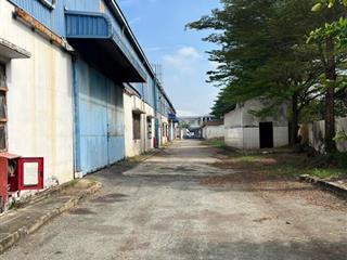 Kho xởng cho thuê đức hòa, long an, diện tích 8,000m2 và 14,000m2