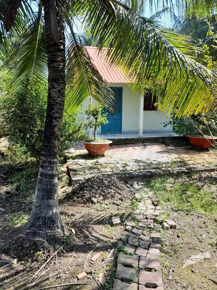 Ngộp bán rẻ nhà vườn nhơn trạch, đất thổ, đường xe tải, gần sông, giá rẻ 4,5ty/1000m, sr chính chủ