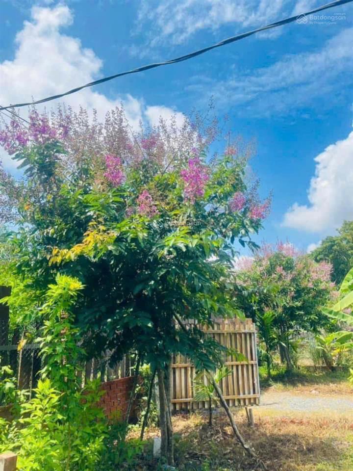 Bán rẻ nhà vườn mt sông nhơn trạch, oto, thổ, giá rẻ 5,9tỷ/1850m2, sr chính chủ. hàng hiếm gọi ngay