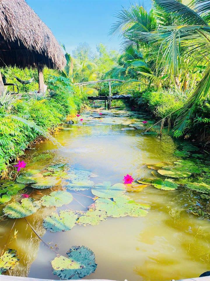 Bán rẻ nhà vườn mt sông nhơn trạch, oto, thổ, giá rẻ 5,9tỷ/1850m2, sr chính chủ. hàng hiếm gọi ngay