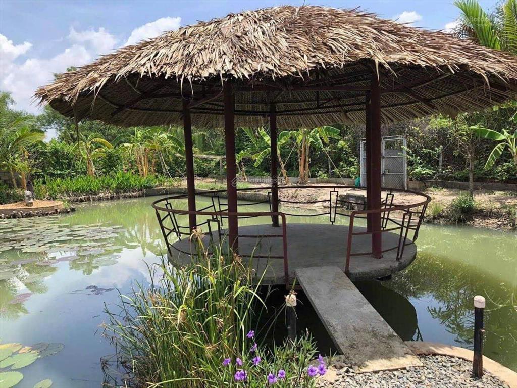 Bán rẻ nhà vườn mt sông nhơn trạch, oto, thổ, giá rẻ 5,9tỷ/1850m2, sr chính chủ. hàng hiếm gọi ngay