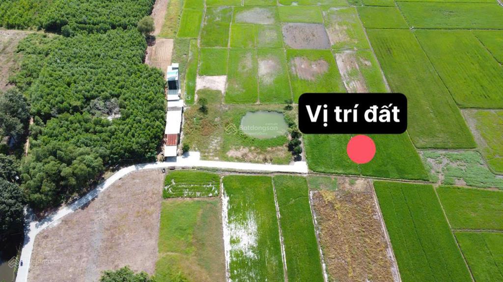 Ngộp hạ giá bán gấp đất nhà vườn nhơn trạch, thổ, oto, giá rẻ 5,5tỷ/1754m2. shr chính chủ, gọi ngay
