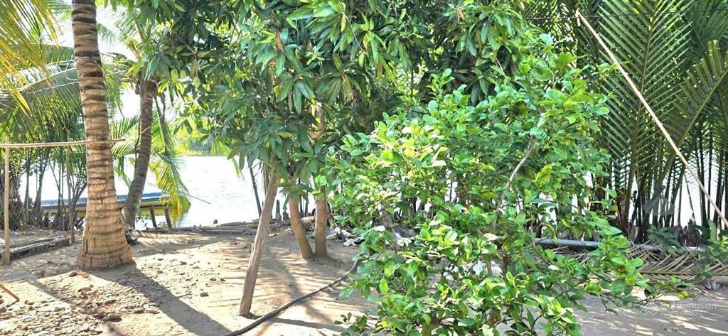 Hạ giá bán gấp đất nhà vườn phú hữu nhơn trạch gần đường cát lái, giá rẻ 2,5tr/m2, shr chính chủ