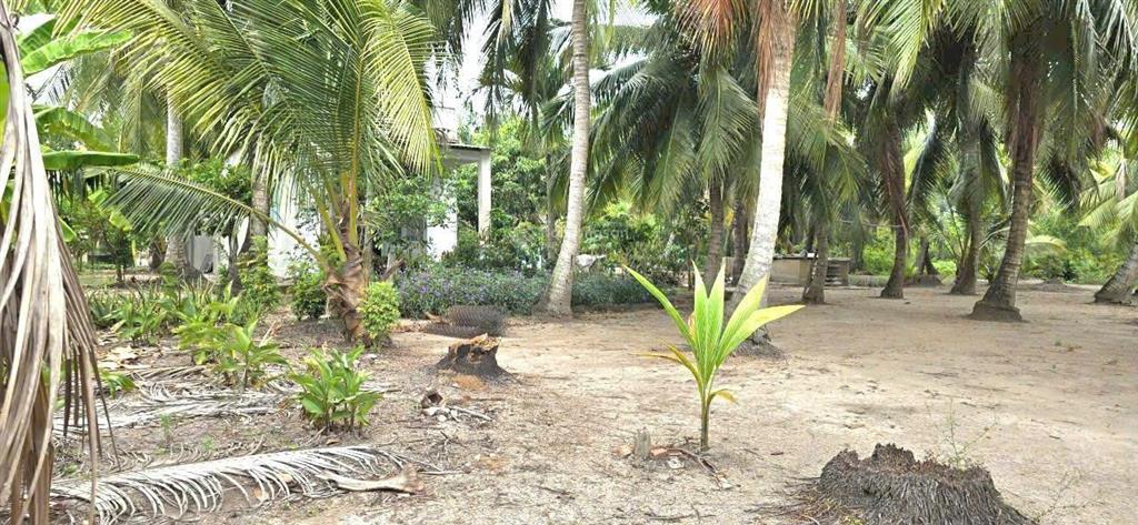 Hạ giá bán gấp đất nhà vườn phú hữu nhơn trạch gần đường cát lái, giá rẻ 2,5tr/m2, shr chính chủ